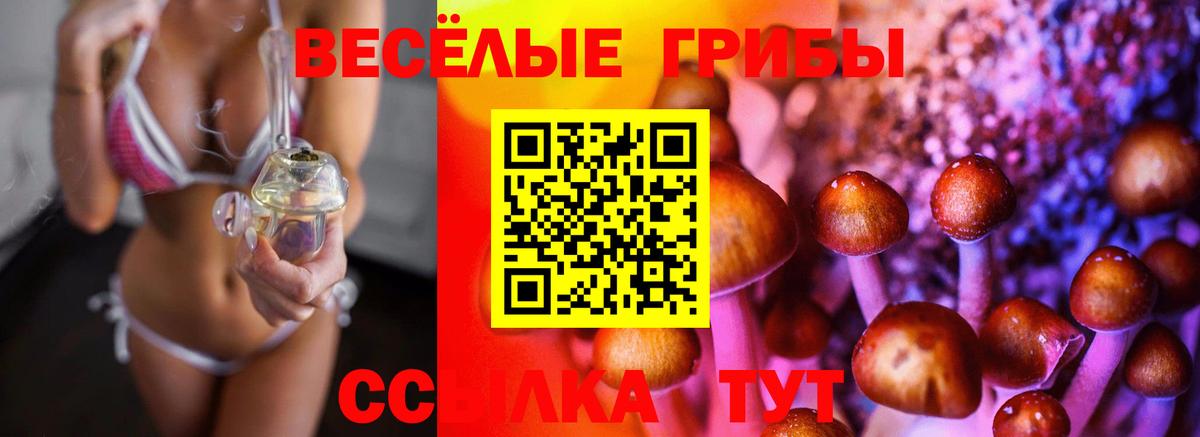 Моздок  Псилоцибиновые грибы мицелий  Вход с VPN  Галлюциногенные грибы GOLDEN TEACHER 