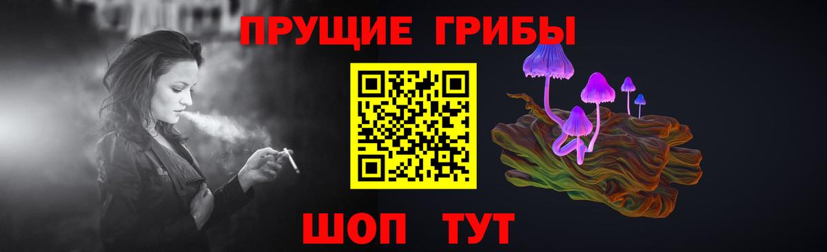Псилоцибиновые грибы GOLDEN TEACHER Моздок